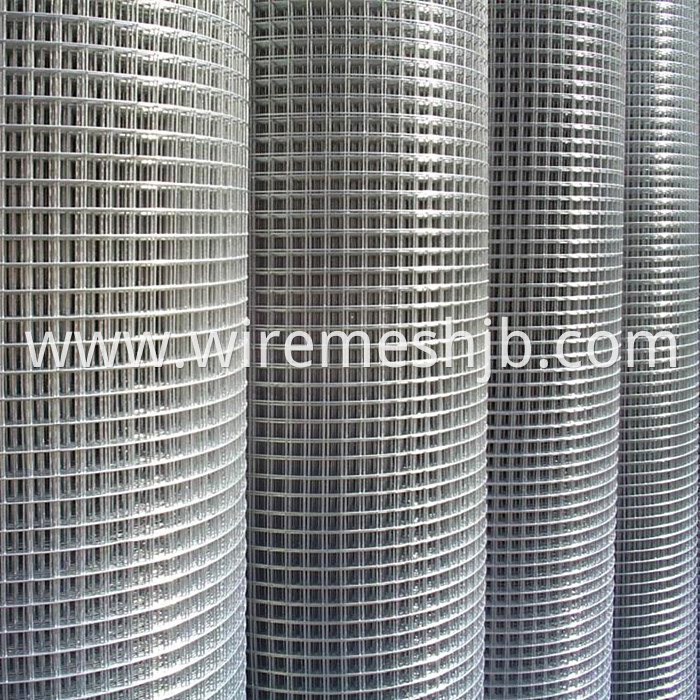 Welded wire netting